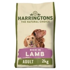 Harringtons Complete Adult Dry Dog Food - Lamb & Rice 7 Harringtons Complete Adult Dry Dog Food - Lamb & Rice -ROYAL CANIN Shop I0041282 en