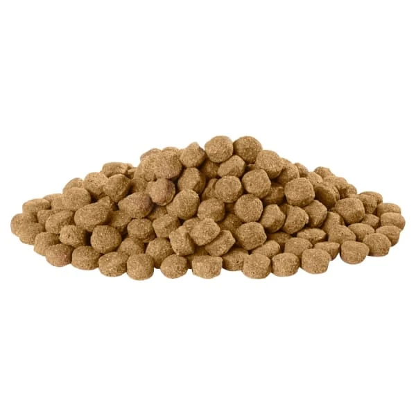 Harringtons Complete Adult Dry Dog Food - Lamb & Rice 2 Harringtons Complete Adult Dry Dog Food - Lamb & Rice - Image 2