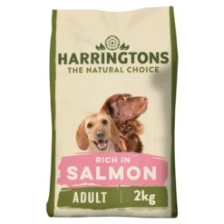 Harringtons Adult Dry Dog Food - Salmon & Potato -ROYAL CANIN Shop I0041285 en