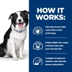 Hill's Prescription Diet Dental Care T/d Adult And Senior Dry Dog Food - Chicken 16 Hill's Prescription Diet Dental Care T/d Adult And Senior Dry Dog Food - Chicken -ROYAL CANIN Shop I0041619 en 04