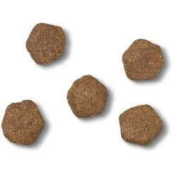 James Wellbeloved Gluten-free Large Junior Dry Dog Food - Turkey & Rice -ROYAL CANIN Shop I0042179 en 04