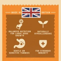 James Wellbeloved Gluten-free Large Junior Dry Dog Food - Turkey & Rice -ROYAL CANIN Shop I0042179 en 05