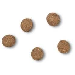 James Wellbeloved Gluten-free Puppy Dry Dog Food - Lamb & Rice -ROYAL CANIN Shop I0042200 en 04