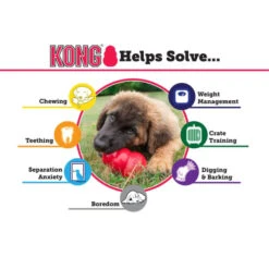 KONG Classic Chew Dog Toy - Red -ROYAL CANIN Shop I0042808 en 02