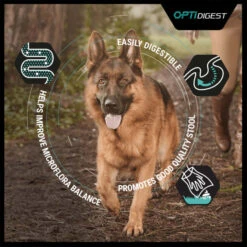 Purina Pro Plan Sensitive Digestion Medium Adult Dry Dog Food - Lamb