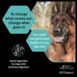 Purina Pro Plan Sensitive Digestion Medium Adult Dry Dog Food - Lamb -ROYAL CANIN Shop I0044939 en 06