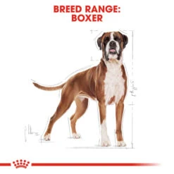 Royal Canin Boxer Adult Dog Dry Food 13 Royal Canin Boxer Adult Dog Dry Food -ROYAL CANIN Shop I0045284 en 03