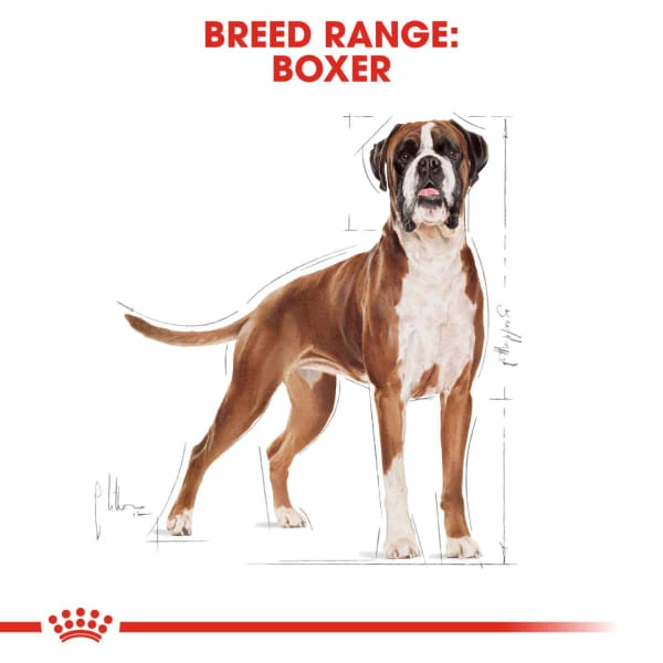 Royal Canin Boxer Adult Dog Dry Food 6 Royal Canin Boxer Adult Dog Dry Food - Image 6