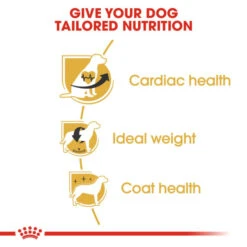 Royal Canin Cavalier King Charles Adult Dog Dry Food -ROYAL CANIN Shop I0045346 en 05
