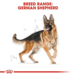 Royal Canin Breed Health Nutrition German Shepherd Adult Dry Pet Food For Dog -ROYAL CANIN Shop I0045397 en 03