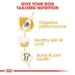 Royal Canin Breed Health Nutrition German Shepherd Adult Dry Pet Food For Dog -ROYAL CANIN Shop I0045397 en 05