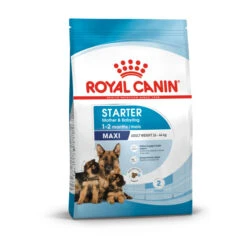 Royal Canin Size Health Nutrition Starter Mother & Babydog - Maxi Dry Pet Food For Dog