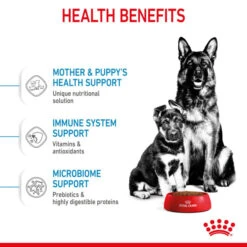 Royal Canin Size Health Nutrition Starter Mother & Babydog - Maxi Dry Pet Food For Dog -ROYAL CANIN Shop I0045442 en 04