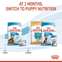 Royal Canin Size Health Nutrition Starter Mother & Babydog - Maxi Dry Pet Food For Dog -ROYAL CANIN Shop I0045442 en 06