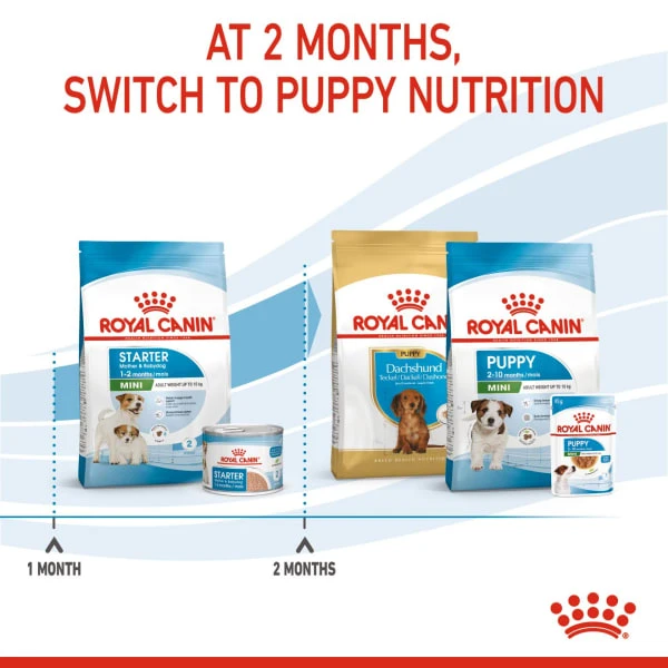 Royal Canin Size Health Nutrition Starter Mother & Babydog - Mini Dry Pet Food For Dog 3 Royal Canin Size Health Nutrition Starter Mother & Babydog - Mini Dry Pet Food For Dog - Image 3