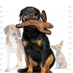 Tuffy Barnyard Rabbit Dog Toy - Brown