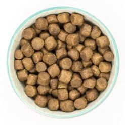 Burns Active Adult Dry Dog Food - Chicken & Rice -ROYAL CANIN Shop I9105634 en 05