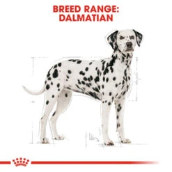 Royal Canin Dalmatian Adult Dog Dry Food -ROYAL CANIN Shop I9108890 en 04