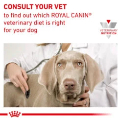 Royal Canin Diabetic Special Wet Dog Food In Loaf -ROYAL CANIN Shop I9109560 en 07