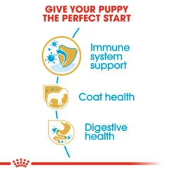 Royal Canin Breed Health Nutrition Yorkshire Terrier Puppy Dry Pet Food For Dog -ROYAL CANIN Shop I9109593 en 05