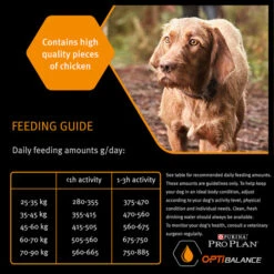 Purina Pro Plan OptiBalance Robust Large Adult Dry Dog Food - Chicken -ROYAL CANIN Shop I9127280 en 10