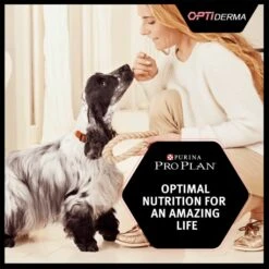 Purina Pro Plan OptiDerma Sensitive Skin Medium Adult Dry Dog Food - Salmon -ROYAL CANIN Shop I9127284 en 08