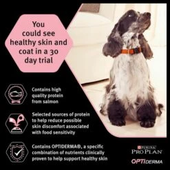 Purina Pro Plan OptiDerma Sensitive Skin Medium Puppy Dry Dog Food - Salmon -ROYAL CANIN Shop I9127287 en 09