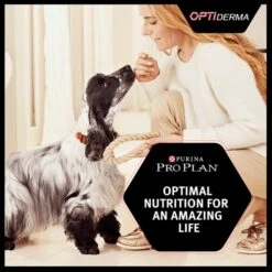 Purina Pro Plan OptiDerma Sensitive Skin Medium Puppy Dry Dog Food - Salmon -ROYAL CANIN Shop I9127287 en 11