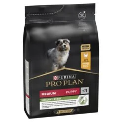 Purina Pro Plan OptiStart Medium Puppy Dry Dog Food - Chicken -ROYAL CANIN Shop I9127288 en 03