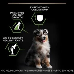 Purina Pro Plan OptiStart Medium Puppy Dry Dog Food - Chicken -ROYAL CANIN Shop I9127288 en 07