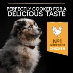 Purina Pro Plan OptiStart Medium Puppy Dry Dog Food - Chicken -ROYAL CANIN Shop I9127288 en 09