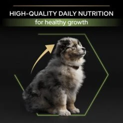 Purina Pro Plan OptiStart Medium Puppy Dry Dog Food - Chicken -ROYAL CANIN Shop I9127288 en 10