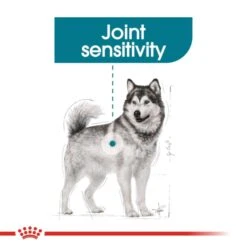 Royal Canin Canine Care Nutrition Maxi Joint Care Dry Pet Food For Dog -ROYAL CANIN Shop I9149283 en 03