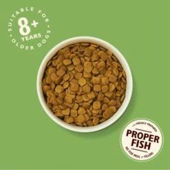Lily's Kitchen Grain-free Senior Dry Dog Food - Turkey, Trout & White Fish