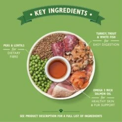 Lily's Kitchen Grain-free Senior Dry Dog Food - Turkey, Trout & White Fish -ROYAL CANIN Shop I9164279 en 05