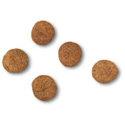 James Wellbeloved Grain-free Senior Dry Dog Food - Turkey & Vegetables -ROYAL CANIN Shop I9189281 en 05