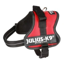 Julius K9 Julius-K9 Dog Powerharness - Red -ROYAL CANIN Shop I9258281 en