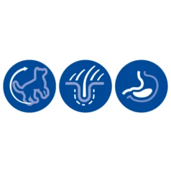 Hill's Science Plan Youthful Vitality Medium Adult 7+ Dry Dog Food - Chicken & Rice -ROYAL CANIN Shop I9292292 en 03