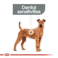 Royal Canin Medium Dental Care Adult Dog Dry Food 11 Royal Canin Medium Dental Care Adult Dog Dry Food -ROYAL CANIN Shop I9378282 en 03