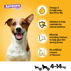 Pedigree Jumbones Mini Adult Dog Treats - Chicken & Lamb -ROYAL CANIN Shop I9407278 en 04