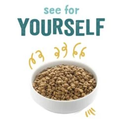 Edgard & Cooper Gluten-free Adult Dry Dog Food - Turkey & Chicken 13 Edgard & Cooper Gluten-free Adult Dry Dog Food - Turkey & Chicken -ROYAL CANIN Shop I9420292 en 02