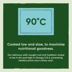 Beco Pets Grain-free Adult Dry Dog Food - Cod & Haddock