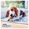 Dentalife Daily Oral Care Small Adult Dog Treats