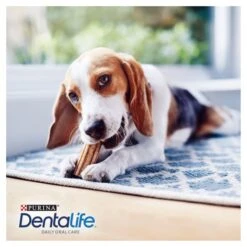 Dentalife Daily Oral Care Small Adult Dog Treats