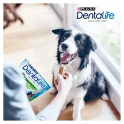 Purina Dentalife Daily Oral Care Medium Adult Dog Treats -ROYAL CANIN Shop I9435291 en 09