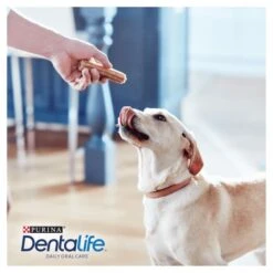 Dentalife Daily Oral Care Large Adult Dog Treats -ROYAL CANIN Shop I9435292 en 13