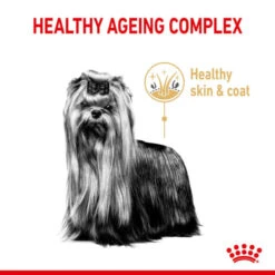 Royal Canin Breed Health Nutrition Yorkshire Terrier 8+ Dry Pet Food For Dog -ROYAL CANIN Shop I9474296 en 03
