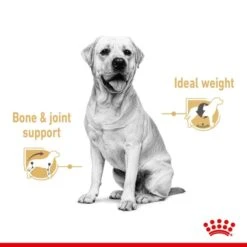 Royal Canin Breed Health Nutrition Labrador Retriever Wet Pet Food For Dog -ROYAL CANIN Shop I9474299 en 03
