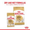 Royal Canin Breed Health Nutrition Labrador Retriever Wet Pet Food For Dog