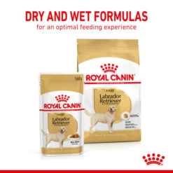 Royal Canin Breed Health Nutrition Labrador Retriever Wet Pet Food For Dog